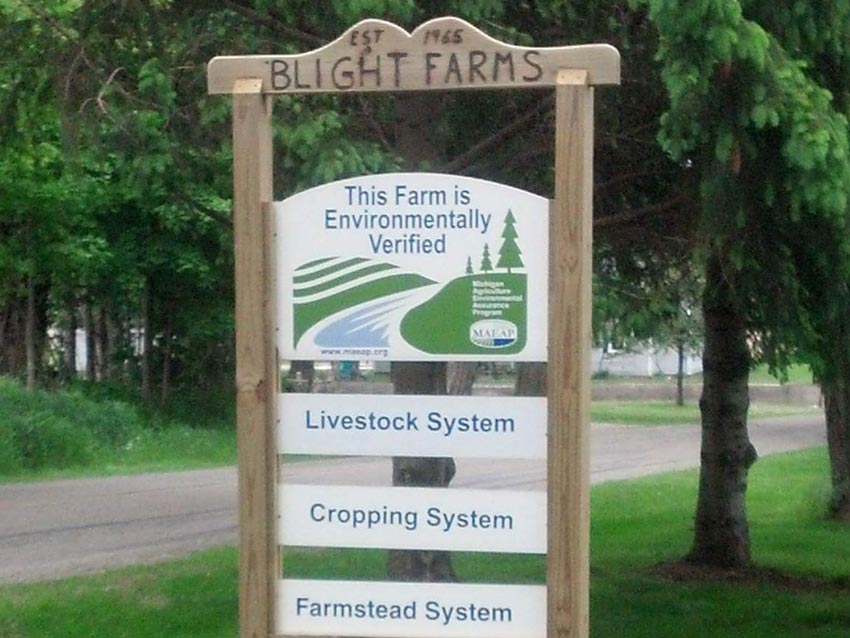 Blight Farm